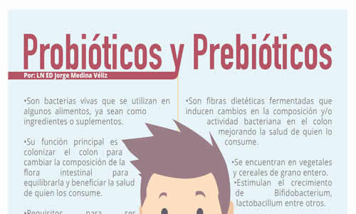 probioticos-y-prebioticos-b